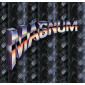 MAGNUM SHIELDING Logo