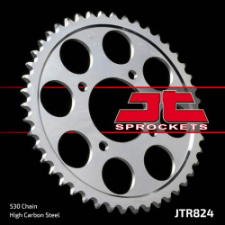 Γρανάζι πίσω κίνησης JT Sprockets JTR824.46