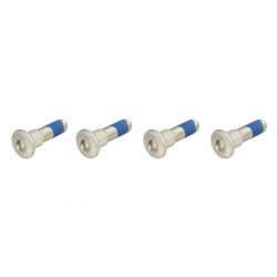 Σετ βίδες δισκόπλακας φρένου TRW MSS131-6