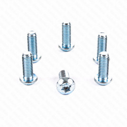 Σετ βίδες δισκόπλακας φρένου TRW MSW101BO