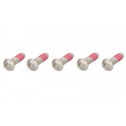 Σετ βίδες δισκόπλακας φρένου TRW MSS113-5