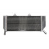 Αριστερό ψυγείο νερού RAD-052L Honda CRE 450F (X) 2005-2009 / Honda CRF 450X 2005-2017