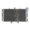 Ψυγείο νερού μοτοσυκλέτας RAD-103 Polaris Outlaw 525IRS 2008-11 / 525S 2008-10 / 525SE 2008-10 Ψυγείο νερού μοτοσυκλέτας RAD-103 Polaris Outlaw 525IRS 2008-11 / 525S 2008-10 / 525SE 2008-10 thumb