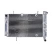 Ψυγείο νερού μοτοσυκλέτας RAD-036 KAWASAKI KSF / SUZUKI LT-Z Ψυγείο νερού μοτοσυκλέτας RAD-036 KAWASAKI KSF / SUZUKI LT-Z thumb