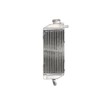 Δεξί ψυγείο νερού μηχανής RAD-062R Suzuki RM 125 2001-2007 thumb