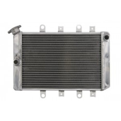 Ψυγείο νερού μοτοσυκλέτας RAD-219 YAMAHA YFM 550F / 700 / 700F
