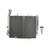 Ψυγείο νερού μοτοσυκλέτας RAD-613 Triumph Daytona 675 2006-2012
