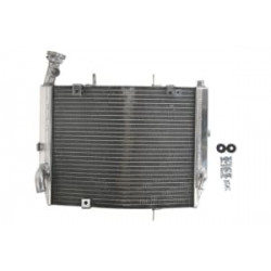 Ψυγείο νερού μοτοσυκλέτας RAD-613 Triumph Daytona 675 2006-2012