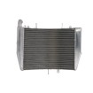 Ψυγείο νερού μοτοσυκλέτας RAD-520 HONDA CBR 600RR 2007-2017 / 600RR ABS 2008-2016 Ψυγείο νερού μοτοσυκλέτας RAD-520 HONDA CBR 600RR 2007-2017 / 600RR ABS 2008-2016 thumb