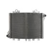Ψυγείο νερού μοτοσυκλέτας RAD-593 KAWASAKI ZZR 1100D 1993-2001 / KAWASAKI ZZR 1100G 1998-2001 thumb