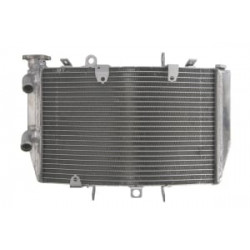 Ψυγείο νερού μοτοσυκλέτας RAD-616 Triumph Speed Triple 1050 2011-2015