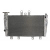 Ψυγείο νερού μοτοσυκλέτας RAD-615 Triumph Speed Triple 1050 2005-2010
