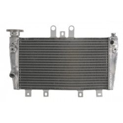 Ψυγείο νερού μοτοσυκλέτας RAD-615 Triumph Speed Triple 1050 2005-2010