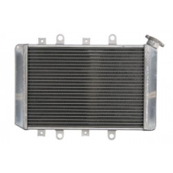 Ψυγείο νερού μοτοσυκλέτας RAD-218 YAMAHA YFM 700F 2007-2008