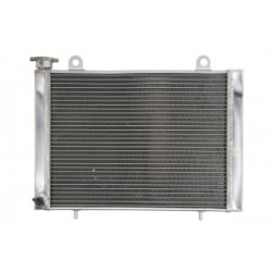 Ψυγείο νερού μοτοσυκλέτας RAD-225 Polaris Ranger 400/500/700/800/900 Ψυγείο νερού μοτοσυκλέτας RAD-225 Polaris Ranger 400/500/700/800/900