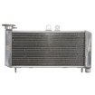Ψυγείο νερού μοτοσυκλέτας RAD-650 HONDA CBF 600S 2004-2007 / 600SA (ABS) 2005-2007 thumb