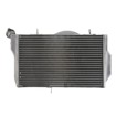 Ψυγείο νερού μοτοσυκλέτας RAD-528 HONDA CBR 1100XX (Blackbird) 1999-2007 Ψυγείο νερού μοτοσυκλέτας RAD-528 HONDA CBR 1100XX (Blackbird) 1999-2007 thumb
