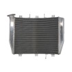 Ψυγείο νερού μοτοσυκλέτας RAD-620 KAWASAKI ZX-6R 600 (Ninja) 1998-1999 Ψυγείο νερού μοτοσυκλέτας RAD-620 KAWASAKI ZX-6R 600 (Ninja) 1998-1999 thumb