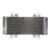 Ψυγείο νερού μοτοσυκλέτας RAD-667 KAWASAKI EX 250R (Ninja) 2009-2013