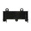 Ψυγείο λαδιού RAD-553 Suzuki DL 1000 (V-Strom) 2002-2006 / TL 1000S 1997-2001 Ψυγείο λαδιού RAD-553 Suzuki DL 1000 (V-Strom) 2002-2006 / TL 1000S 1997-2001 thumb