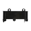 Ψυγείο λαδιού RAD-553 Suzuki DL 1000 (V-Strom) 2002-2006 / TL 1000S 1997-2001 Ψυγείο λαδιού RAD-553 Suzuki DL 1000 (V-Strom) 2002-2006 / TL 1000S 1997-2001 thumb