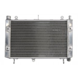 Ψυγείο νερού μοτοσυκλέτας RAD-663 YAMAHA FZS 1000 2001-2005