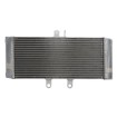 Ψυγείο νερού μοτοσυκλέτας RAD-626 SUZUKI GSF 1250/A/S/SA / GSX 650F/650FA (ABS) Ψυγείο νερού μοτοσυκλέτας RAD-626 SUZUKI GSF 1250/A/S/SA / GSX 650F/650FA (ABS) thumb