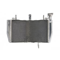 Ψυγείο νερού μοτοσυκλέτας RAD-606 Ducati Monster 821/ 821 Stripe /821 Dark 2014-2016
