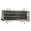 Ψυγείο νερού μοτοσυκλέτας RAD-668 KAWASAKI EX 300 ABS (Ninja) 2013-15 / 300 2013-17 Ψυγείο νερού μοτοσυκλέτας RAD-668 KAWASAKI EX 300 ABS (Ninja) 2013-15 / 300 2013-17 thumb