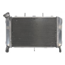 Ψυγείο νερού μοτοσυκλέτας RAD-560 YAMAHA FZ6 600N/600NA/600S /600S2 2007-2009 / 600S Fazer 2007-2008 Ψυγείο νερού μοτοσυκλέτας RAD-560 YAMAHA FZ6 600N/600NA/600S /600S2 2007-2009 / 600S Fazer 2007-2008
