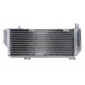 Αριστερό ψυγείο νερού RAD-163L Suzuki RM-Z 450 2018-2019 thumb