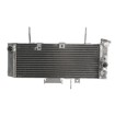 Ψυγείο νερού μοτοσυκλέτας RAD-541 SUZUKI SV 650 2003-2004 Ψυγείο νερού μοτοσυκλέτας RAD-541 SUZUKI SV 650 2003-2004 thumb