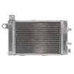 Ψυγείο νερού μοτοσυκλέτας RAD-501 Aprilia Tuono thumb