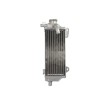 Δεξί ψυγείο νερού μηχανής RAD-153R Yamaha YZ 250F 2019-20 / YZ 450F 2018-20 Δεξί ψυγείο νερού μηχανής RAD-153R Yamaha YZ 250F 2019-20 / YZ 450F 2018-20 thumb