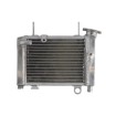 Ψυγείο νερού μοτοσυκλέτας RAD-645 HONDA CBR 125R 2012-2017 thumb