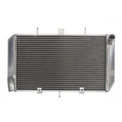 Ψυγείο νερού μοτοσυκλέτας RAD-666 KTM Duke 200 2013-2017
