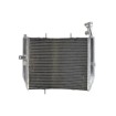 Ψυγείο νερού μοτοσυκλέτας RAD-613 Triumph Daytona 675 2006-2012 thumb