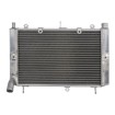 Ψυγείο νερού μοτοσυκλέτας RAD-663 YAMAHA FZS 1000 2001-2005 thumb