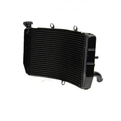 Ψυγείο νερού μηχανής για HONDA CBR 600 F4 1999-2006