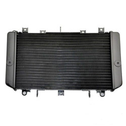 Ψυγείο νερού μηχανής για YAMAHA FZ8 2011-2013