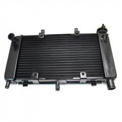 Ψυγείο νερού μηχανής για YAMAHA FZ6/FAZER 2004-2010