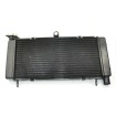 Ψυγείο νερού μηχανής για HONDA HORNET 1998-2005 thumb