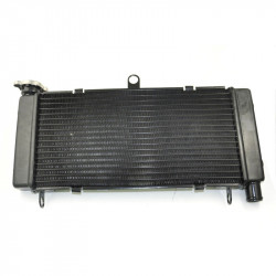 Ψυγείο νερού μηχανής για HONDA HORNET 1998-2005