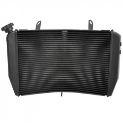 Ψυγείο νερού μηχανής για YAMAHA R1 2004-2006