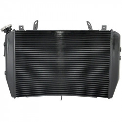 Ψυγείο νερού μηχανής για YAMAHA R1 2007-2008