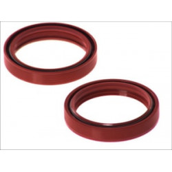 Τσιμούχες για αμορτισέρ AB55-126