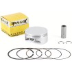 ΣΕΤ ΠΙΣΤΟΝΙ ΓΙΑ YAMAHA ATV YFM700 RAPTOR 06-13, GRIZZLY 07-13, RHINO 08-13; ΜΕΓΕΘΟΣ A (101.95mm) ΣΕΤ ΠΙΣΤΟΝΙ ΓΙΑ YAMAHA ATV YFM700 RAPTOR 06-13, GRIZZLY 07-13, RHINO 08-13; ΜΕΓΕΘΟΣ A (101.95mm) thumb