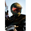 Κράνος μηχανής ICON DOMAIN TIGER'S BLOOD GREEN thumb