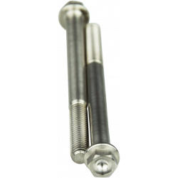 Βίδες τιτανίου SCAR TITANIUM BOLT M6X75 PACK OF 2