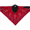 Μάσκα προσώπου αναβάτη SPORTFLEX RED PAISLY